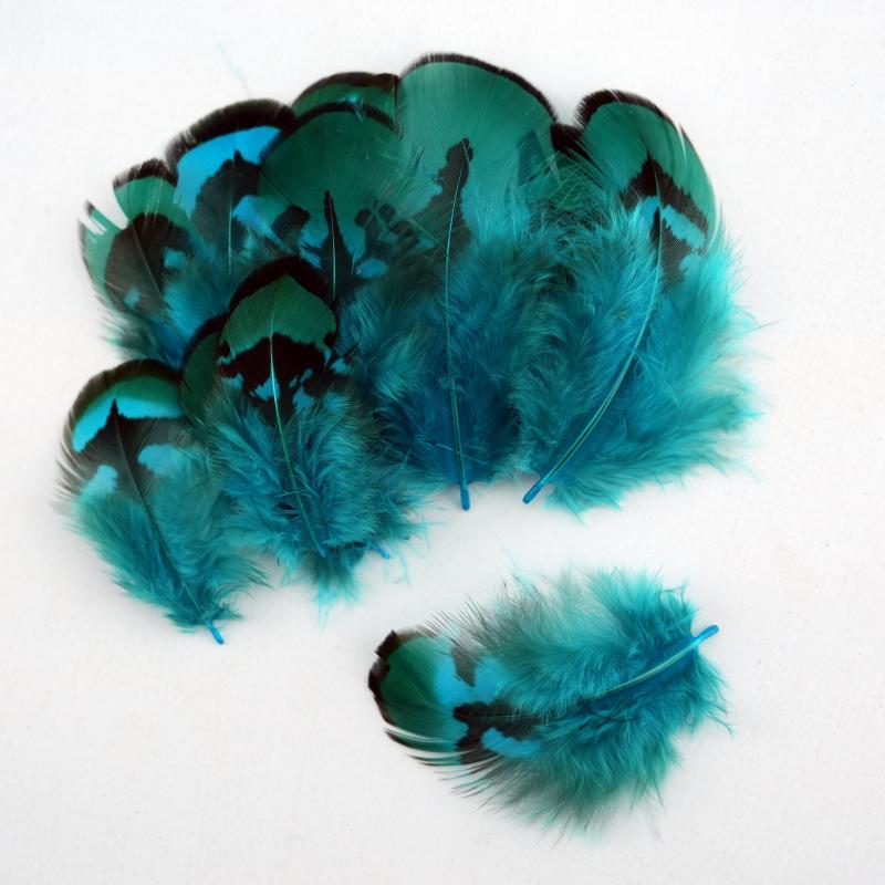 Plumas de Faisán Naturales Teñ - Wedding Supply In Bulk reseña y precio