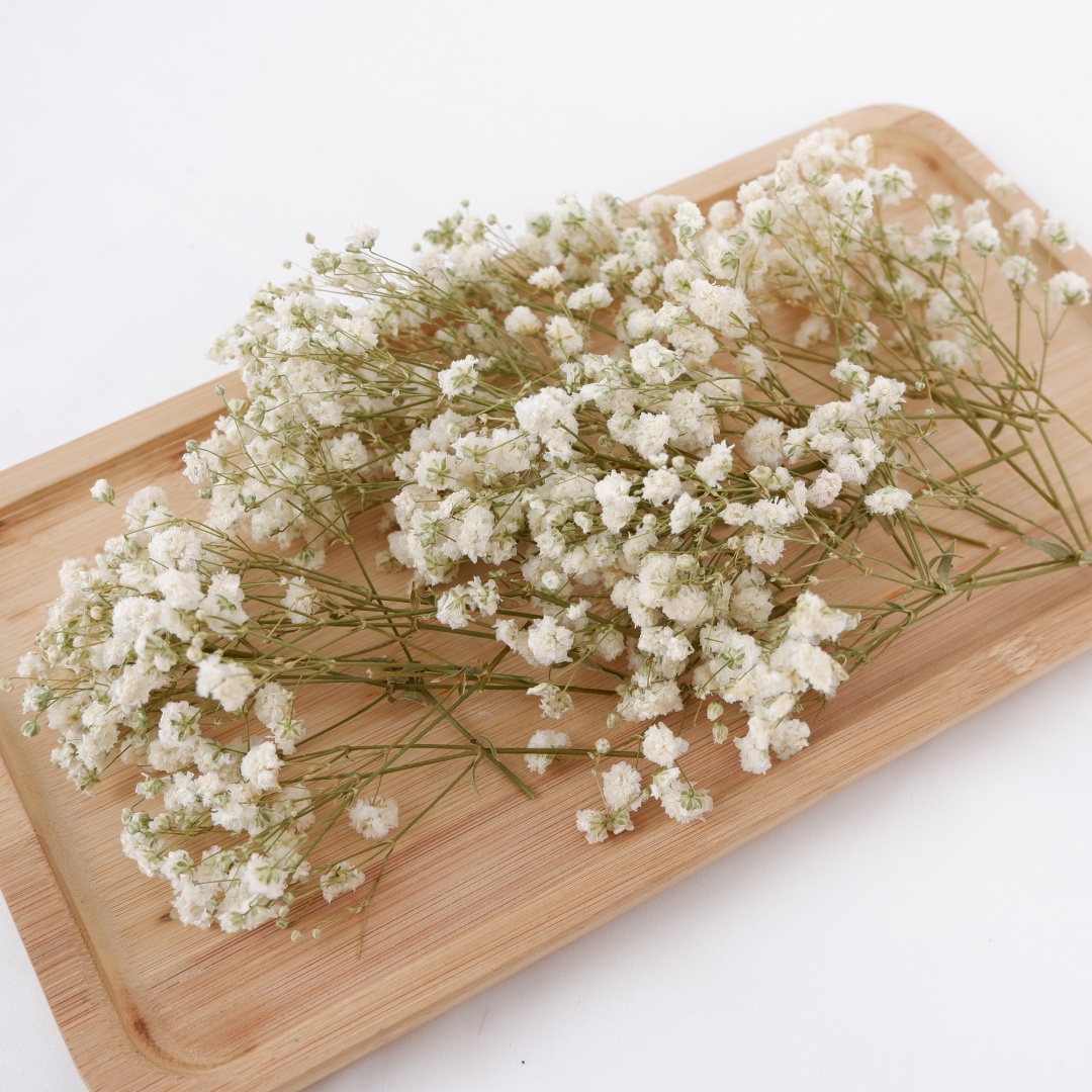 Flores secas Mini flores secas - Flower Girl Basket reseña y precio