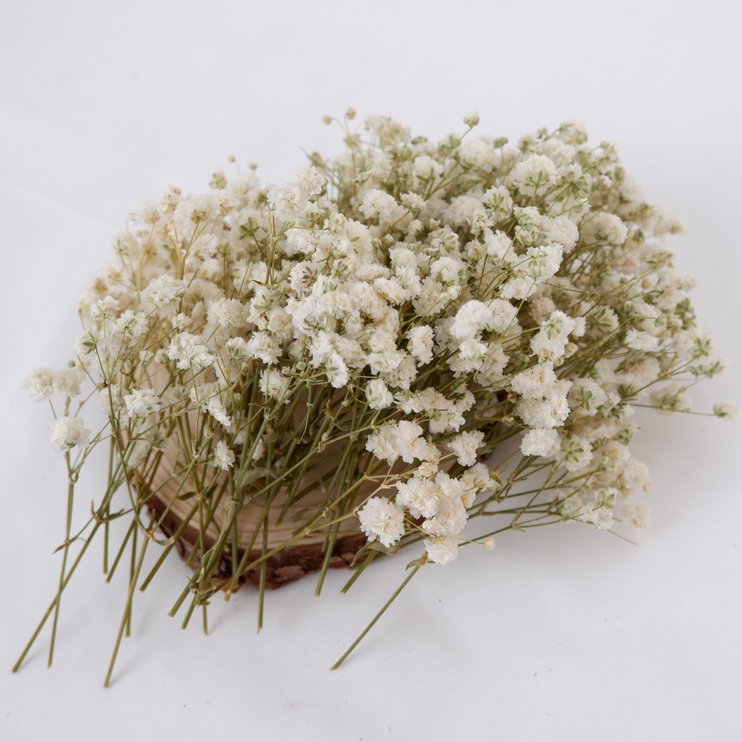 Flores secas Mini flores secas - Flower Girl Basket reseña y precio