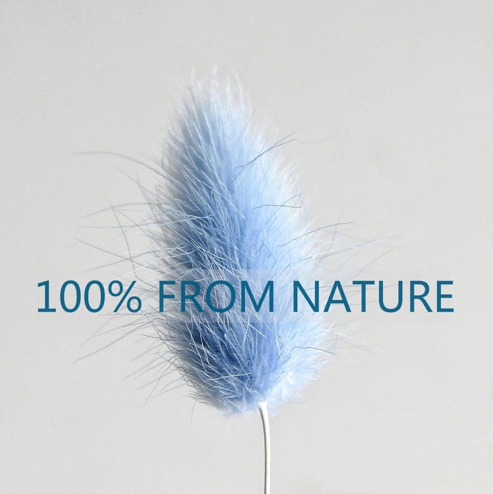 100 Uds. Cola de liebre azul h - Flower Girl Basket reseña y precio